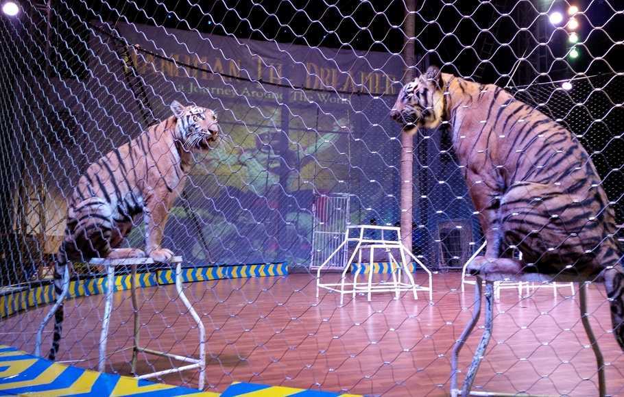 Soal UTS : Etologi atau ilmu yang mempelajari perilaku hewan