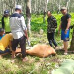 Kita tahun ini berqurban seekor lembu