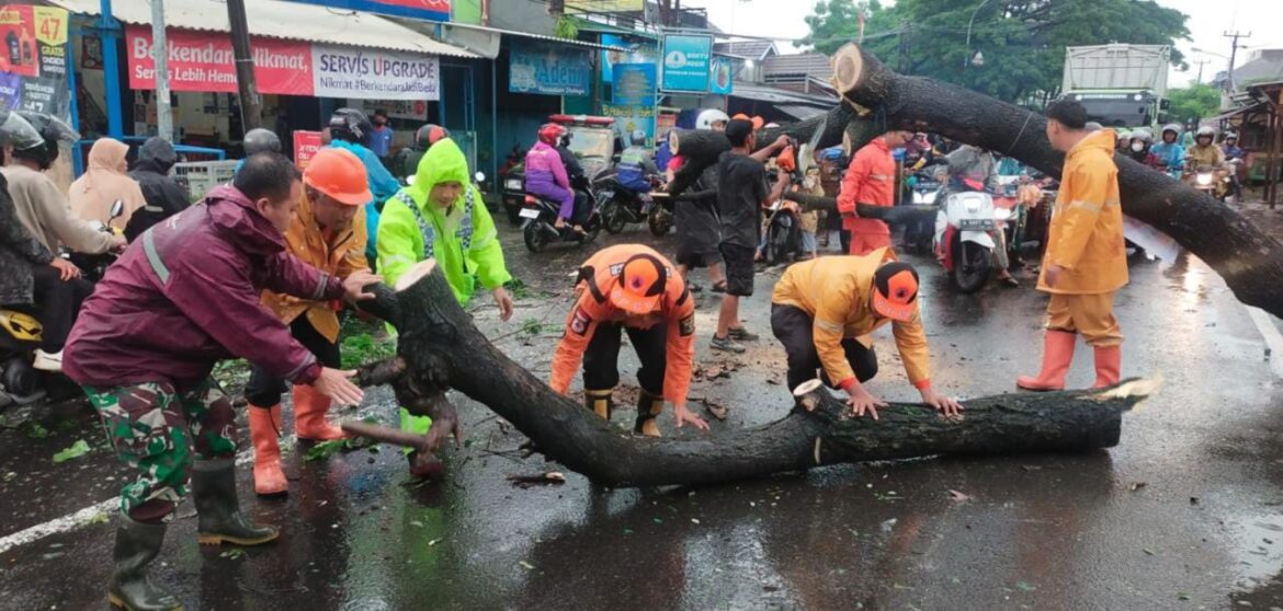 Cepat dan Sigab Babinsa Koramil 0602/Serang Bersama Anggota Polsek Dan Personil BPBD Kota Serang Evakuasi Pohon Tumbang.
