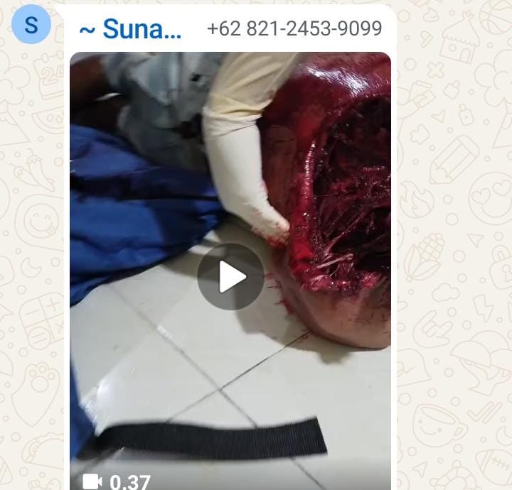 Remaja melintas pada malam hari di bukit Barisan, harimau sumatra menerkam sampai tewas di tempat.